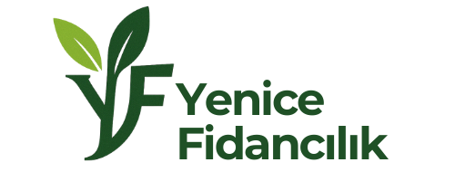 Yenice Fidancılık Logo